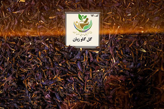 باغ موزه‌ی «گیاهان دارویی و معطر» زنجان