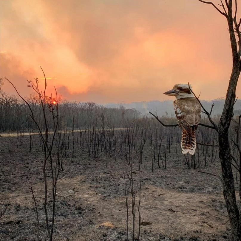 https://static.euronews.com/articles/stories/04/29/67/40/808x808_cmsv2_7e4f568b-fc87-52f4-8524-83aaeb58e2c5-4296740.jpg