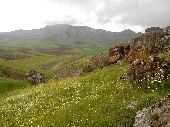 روستای گلادیاتور‌ها و وایکینگ‌ها در ایران